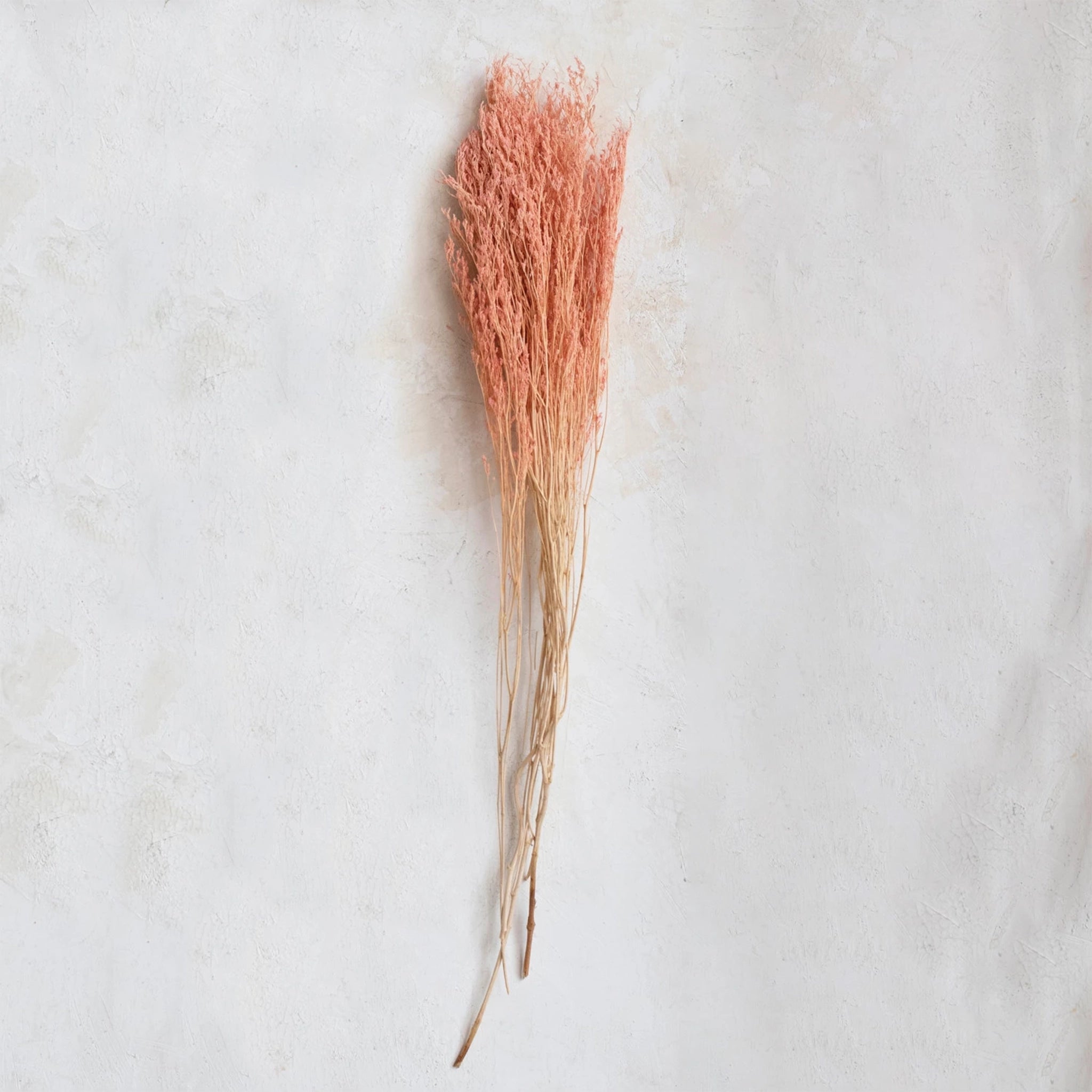 A bundle of dried grass in a light pink shade with long stems.