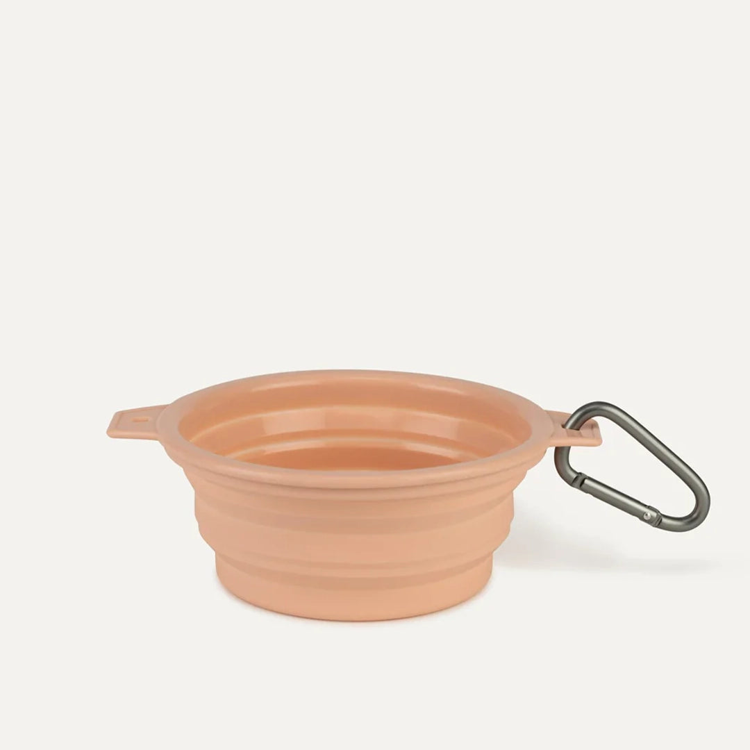 A peach silicone water bowl for pets that flattens when not in use. It also comes with a clip for attaching to your bag or leash on the go.