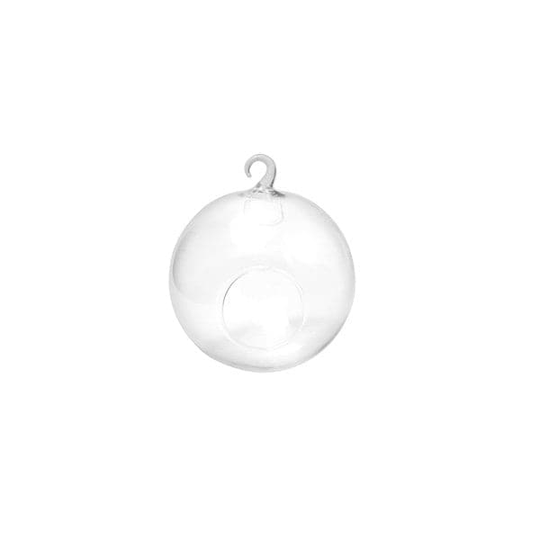On a white background is a hanging glass orb with a hole in the front for planting access and a small glass loop at the top for hanging.