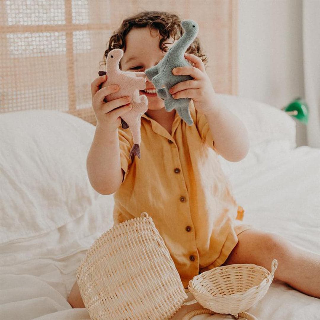 Photo of a child in a golden yellow button up top playing with two small felt dinosaur stuffed animals. Child has brown curly hair and is smiling in between the two dinosaurs. The child is sitting on a cozy bed with white linens and has a small wicker basket in front of them.
