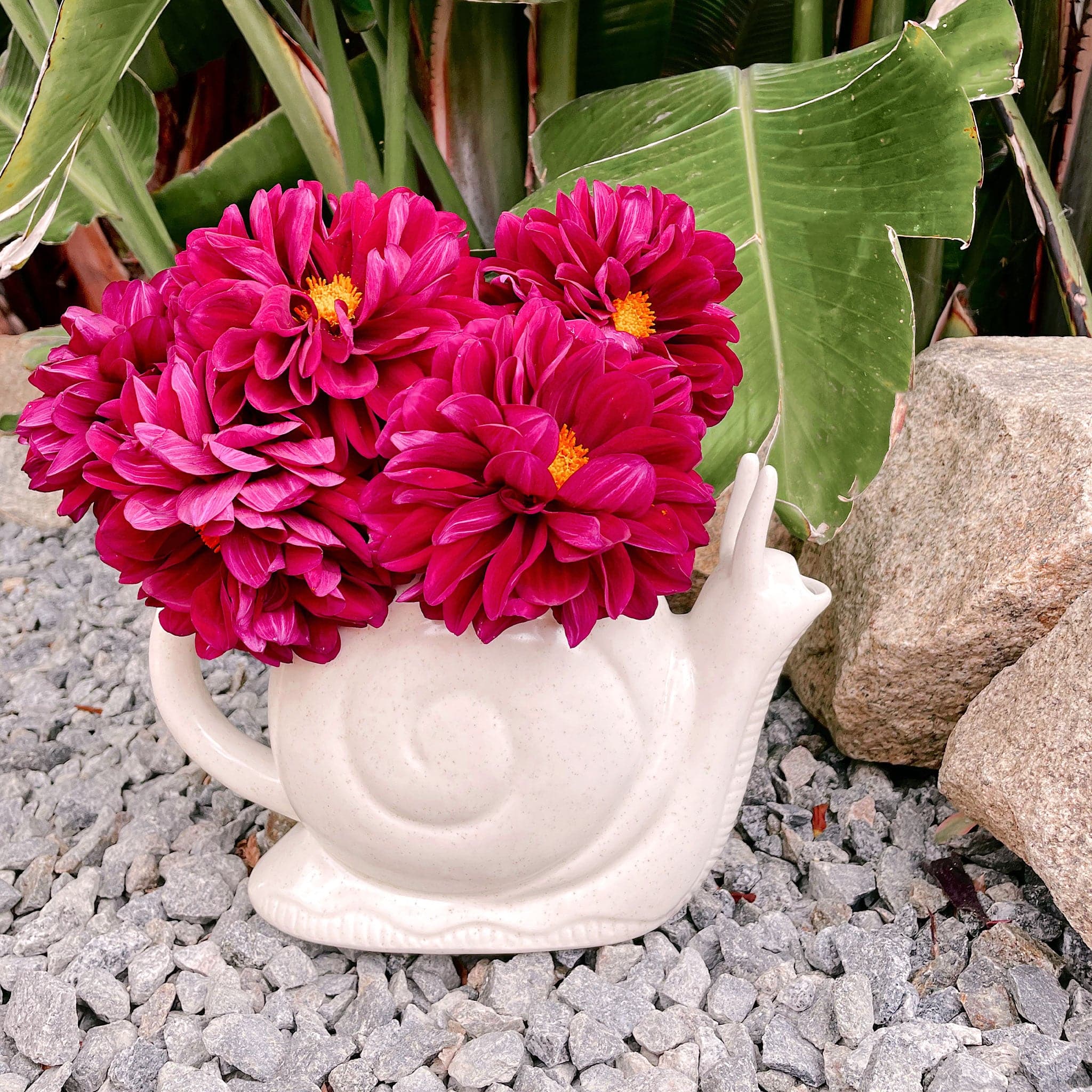 Watering Can | Snail – Pigment