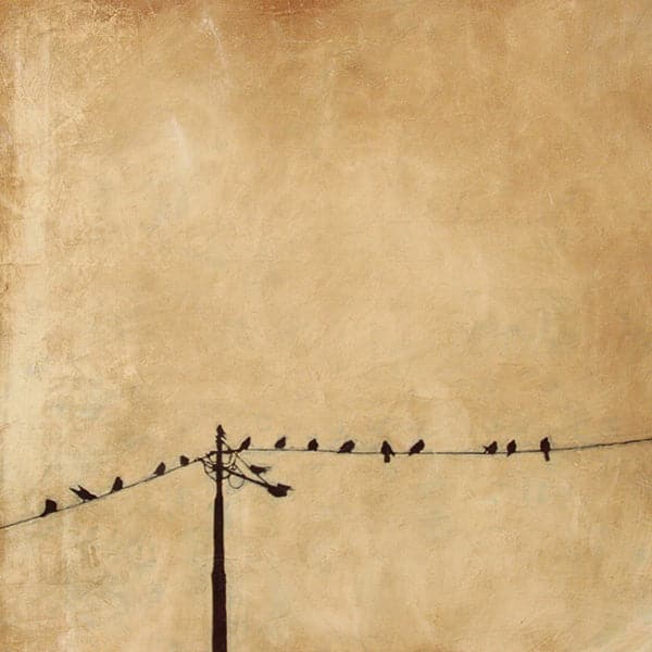 Original painting of black silhouetted birds on telephone wire with tan wash background.