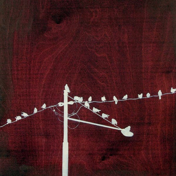 Original painting of white silhouetted birds on telephone poles on cherry wood grain backdrop.