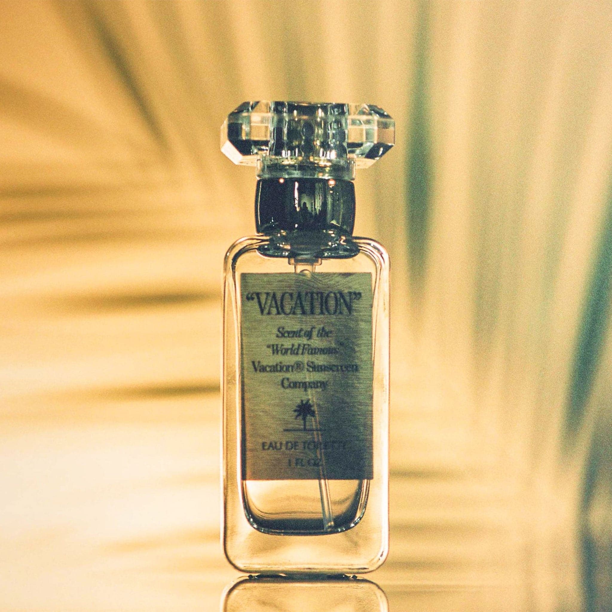 Glass perfume bottle that reads 'Vacation, Scent of World Famous Vacation Sunscreen Company' across the front label. The bottle is topped with a glass knob lid. The bottle is placed against a shadow palm background. 