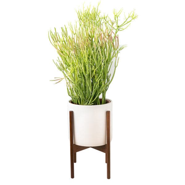 small plant pot with stand Ceramic Planter with Stand