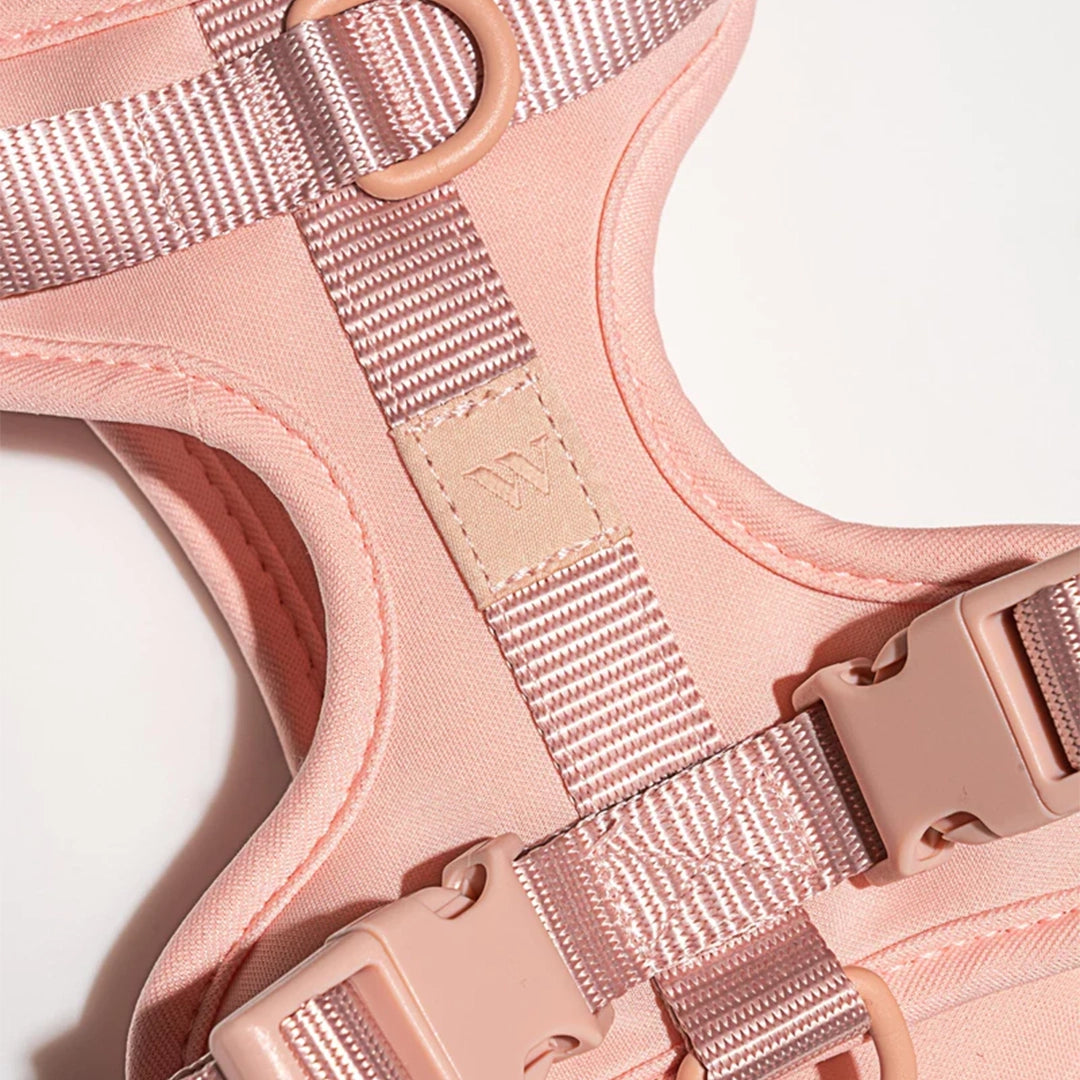 A blush pink harness with two buckles on each side and a loop for leash attachment.