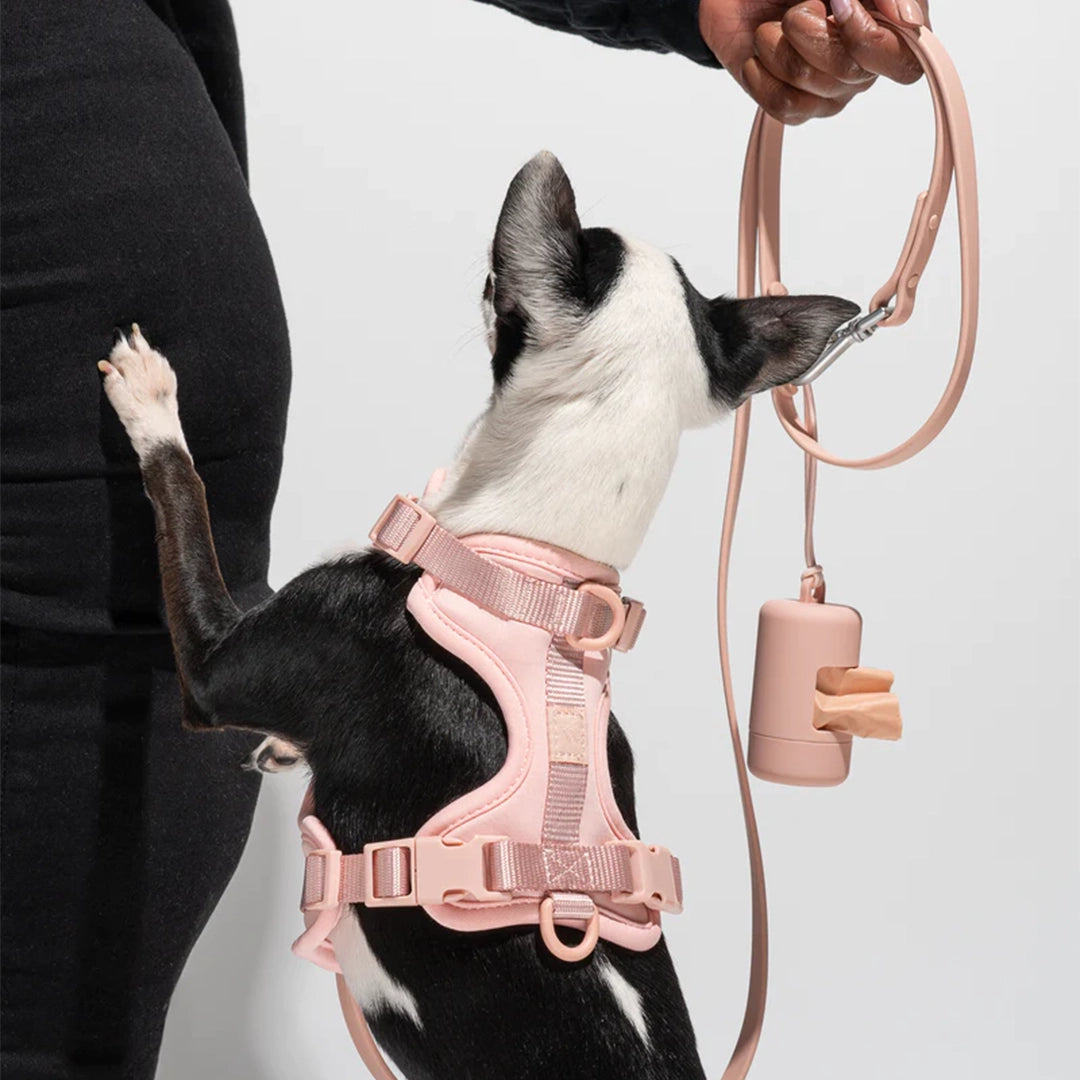 A blush pink harness with two buckles on each side and a loop for leash attachment.