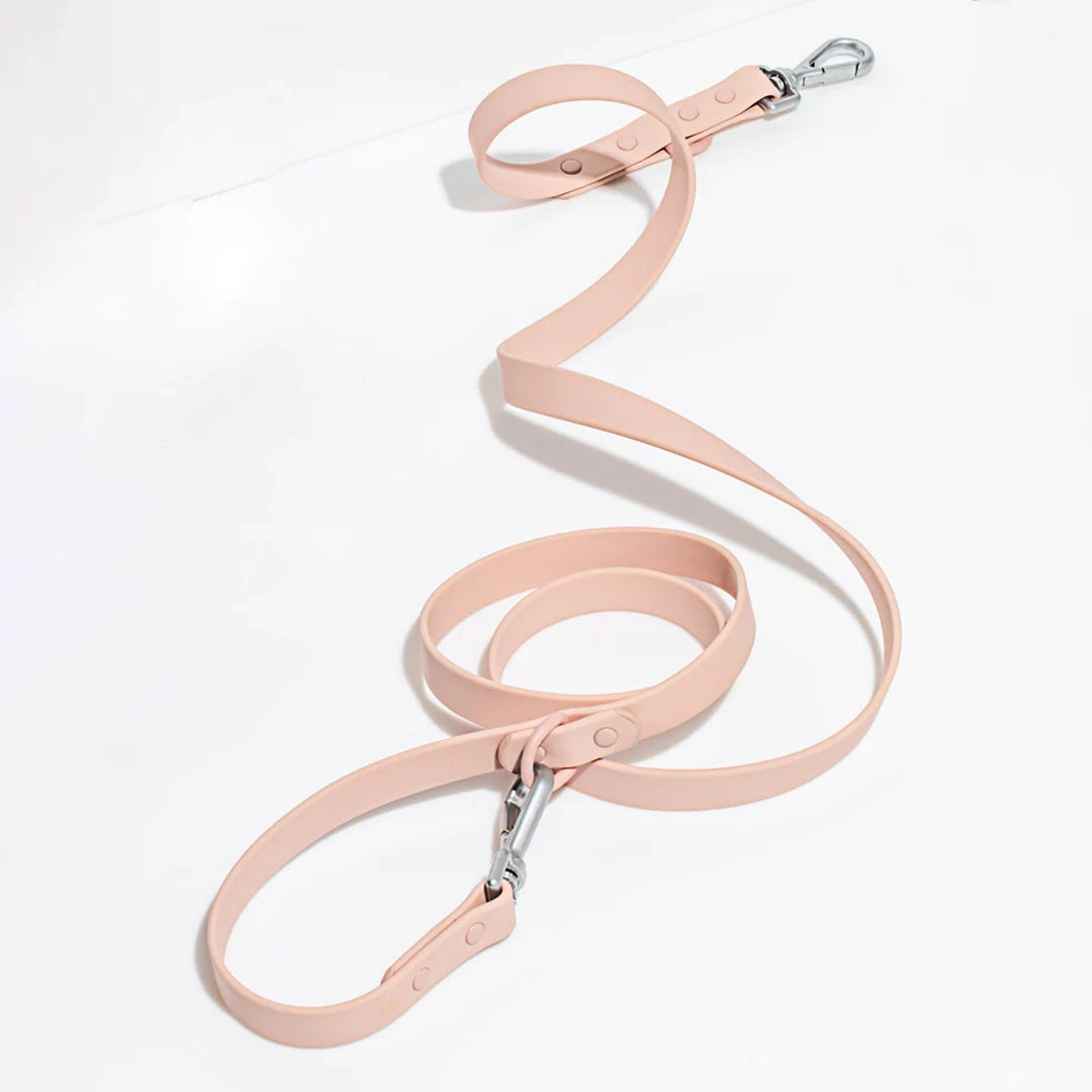 A blush pink leash with silver detailing.